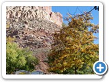 USA-Suedwest-231003-2474-Capitol-Reef-National-Park