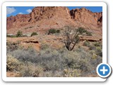 USA-Suedwest-231003-2512-Capitol-Reef-National-Park