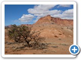 USA-Suedwest-231003-2523-Capitol-Reef-National-Park