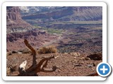 USA-Suedwest-231003-2538-Capitol-Reef-National-Park