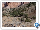 USA-Suedwest-231003-2541-Capitol-Reef-National-Park