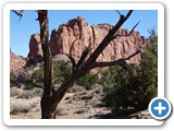 USA-Suedwest-231003-2544-Capitol-Reef-National-Park