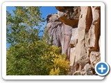 USA-Suedwest-231003-2566-Capitol-Reef-National-Park