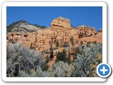 USA-Suedwest-231003-2097-Cedar-Breaks-Red-Canyon