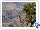 USA-Suedwest-231003-2819-Grand-Canyon