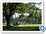 USA-Hawaii-231003-3486-Big-Island-Hilo