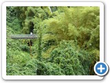 USA-Hawaii-231003-3566-Big-Island-Hilo