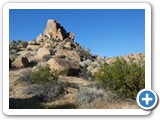 USA-Suedwest-231003-3088-Joshua-Tree-National-Park