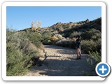 USA-Suedwest-231003-3099-Joshua-Tree-National-Park