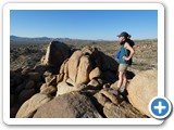 USA-Suedwest-231003-3115-Joshua-Tree-National-Park