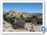 USA-Suedwest-231003-3149-Joshua-Tree-National-Park