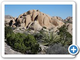 USA-Suedwest-231003-3151-Joshua-Tree-National-Park