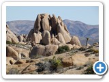 USA-Suedwest-231003-3153-Joshua-Tree-National-Park