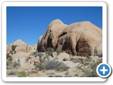 USA-Suedwest-231003-3155-Joshua-Tree-National-Park