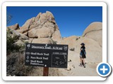 USA-Suedwest-231003-3162-Joshua-Tree-National-Park