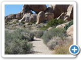 USA-Suedwest-231003-3174-Joshua-Tree-National-Park