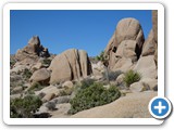 USA-Suedwest-231003-3176-Joshua-Tree-National-Park