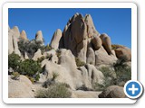 USA-Suedwest-231003-3178-Joshua-Tree-National-Park