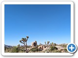 USA-Suedwest-231003-3194-Joshua-Tree-National-Park_20231021_225157545