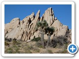 USA-Suedwest-231003-3199-Joshua-Tree-National-Park