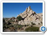 USA-Suedwest-231003-3202-Joshua-Tree-National-Park