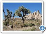 USA-Suedwest-231003-3205-Joshua-Tree-National-Park