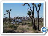 USA-Suedwest-231003-3208-Joshua-Tree-National-Park