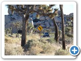 USA-Suedwest-231003-3212-Joshua-Tree-National-Park