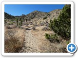 USA-Suedwest-231003-3228-Joshua-Tree-National-Park