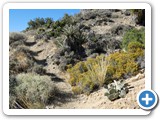 USA-Suedwest-231003-3259-Joshua-Tree-National-Park