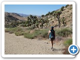 USA-Suedwest-231003-3267-Joshua-Tree-National-Park