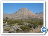 USA-Suedwest-231003-1736-Lake-Mead-Red-Cliffs