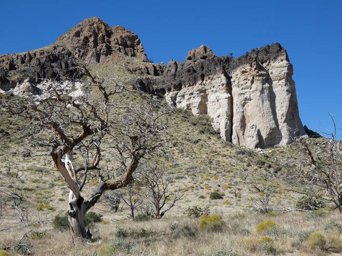 Mojave National Preserve, Kalifornien, USA