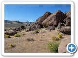 USA-Suedwest-231003-1549-Mojave-NP