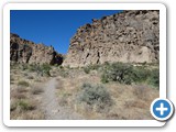USA-Suedwest-231003-1560-Mojave-NP