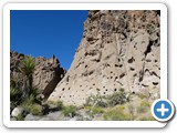 USA-Suedwest-231003-1562-Mojave-NP