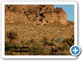 USA-Suedwest-231003-1589-Mojave-NP