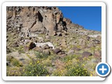 USA-Suedwest-231003-1617-Mojave-NP
