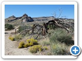 USA-Suedwest-231003-1628-Mojave-NP