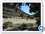 USA-Suedwest-231003-1637-Mojave-NP