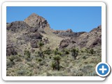 USA-Suedwest-231003-1649-Mojave-NP