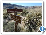 USA-Suedwest-231003-1655-Mojave-NP