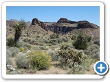USA-Suedwest-231003-1656-Mojave-NP