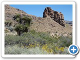 USA-Suedwest-231003-1658-Mojave-NP