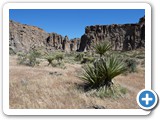 USA-Suedwest-231003-1664-Mojave-NP