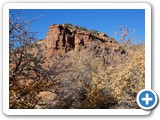 USA-Suedwest-231003-2678-Natural-Bridges-National-Monument