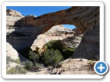 USA-Suedwest-231003-2712-Natural-Bridges-National-Monument