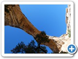 USA-Suedwest-231003-2728-Natural-Bridges-National-Monument