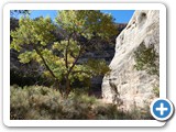 USA-Suedwest-231003-2737-Natural-Bridges-National-Monument