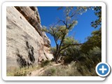 USA-Suedwest-231003-2747-Natural-Bridges-National-Monument